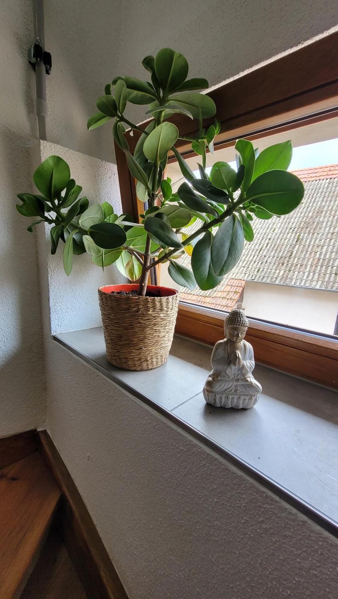 Das Hoefchen Stadecken Esterno foto